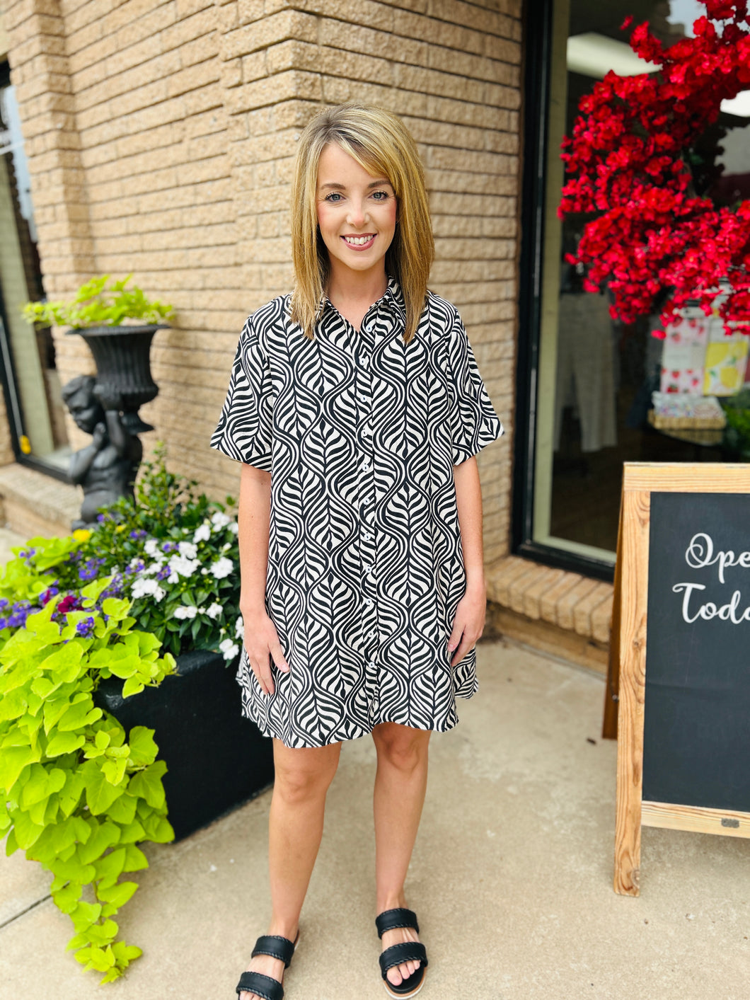 Josslyn Short Sleeve Button Up Dress
